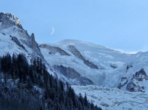 Appartement Cosy, Vue Mont Blanc, Plein Centre